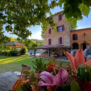 Domaine De Sainte Annette Couette-café